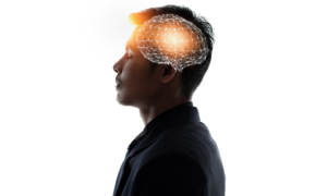 Brain Training available at The Brain Gym